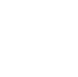 biometric-document-solid 1