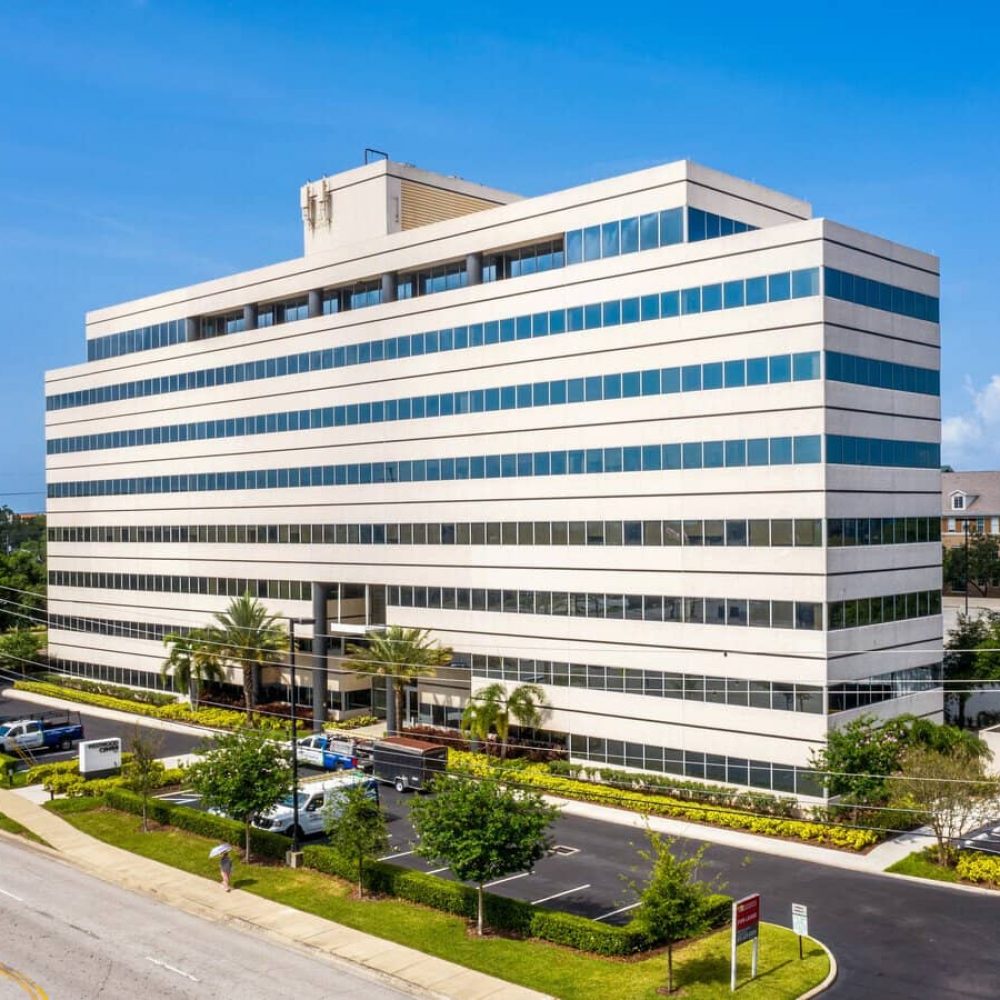 tampa (1)